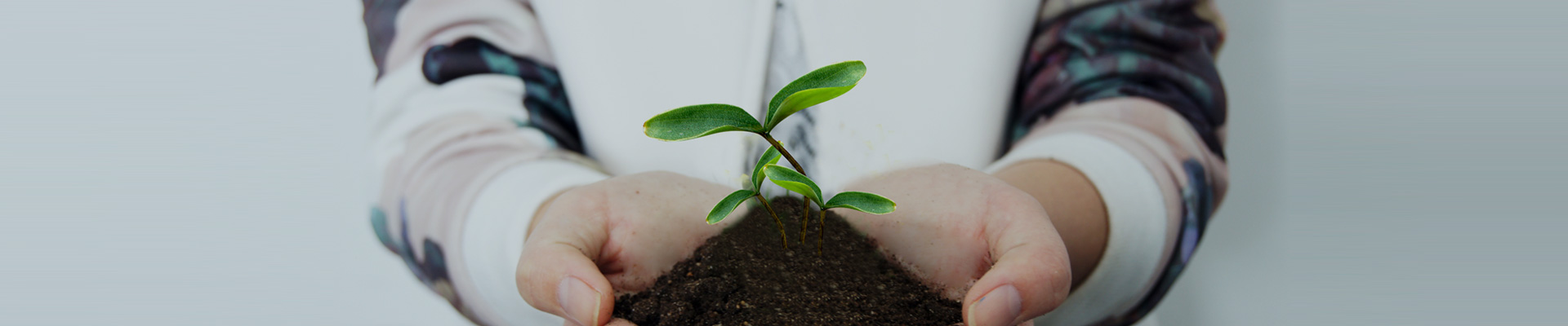 爱体育手机在线登录