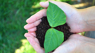 爱体育手机在线登录